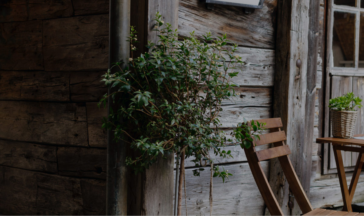 Slajd na stronę główną