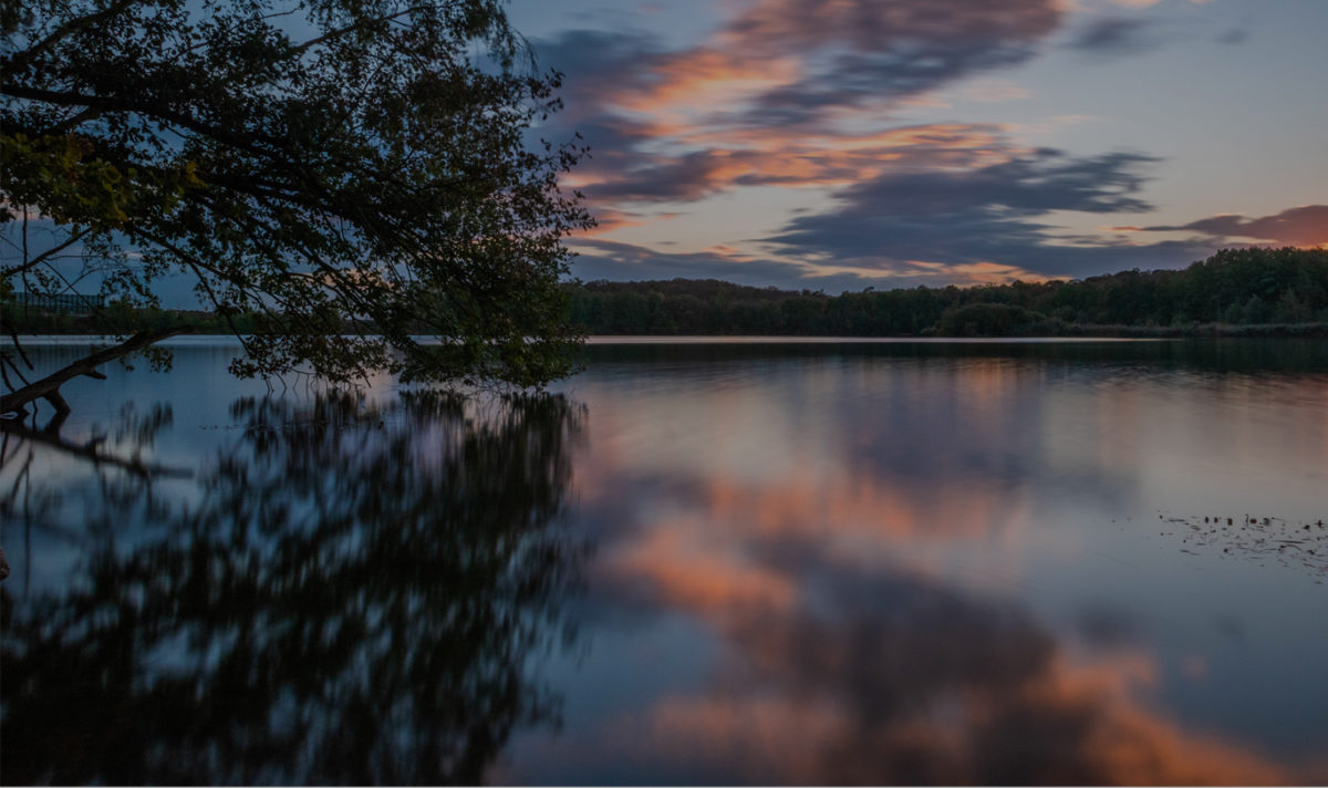 Slajd na stronę główną